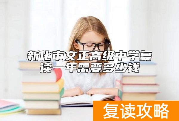 新化市文正高级中学复读一年需要多少钱